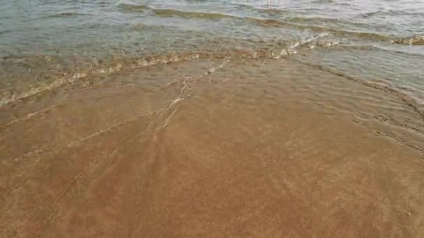 Морские Волны Движимые Приливом Катятся Золотому Пляжному Песку Каждый Прилив — стоковое видео