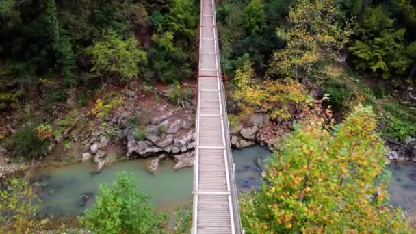 Drohne Erfasst Holzbrücke Über Gebirgsfluss Kapikaya Holzbrücke Überspannt Wanderweg Eingebettet — Stockvideo