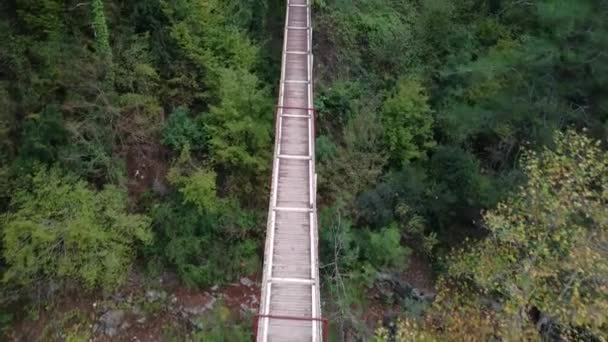 Drohnenblick Auf Brücke Kapikaya Unterstreicht Ökologie Und Fernweh Brücke Über — Stockvideo