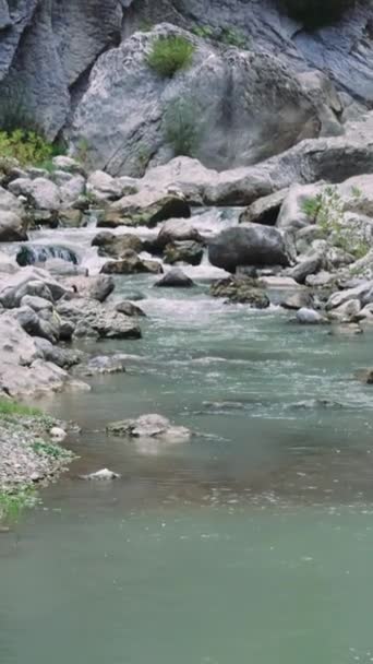 Río Montaña Que Fluye Través Del Cañón Otoño Mostrando Ecología — Vídeos de Stock
