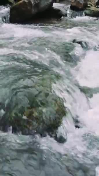 Ruisseau Montagne Coulant Rapidement Sur Les Pierres Cours Eau Naturel — Video