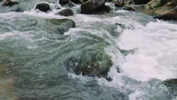 Горный Ручей Стремительно Течет Камням Естественный Быстрый Поток Ручей Бежит — стоковое видео