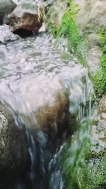 Coule Rapidement Sur Les Pierres Ruisseau Montagne Clair Reflète Changement — Video