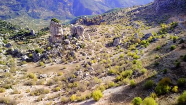 Zielony Las Otacza Klify Kanionu Oferując Panoramiczny Majestat Górski Panorama — Wideo stockowe