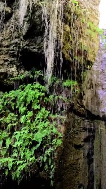 Prächtiger Versteckter Wasserfall Mersin Ideal Für Wanderfreunde Wandern Durch Üppiges — Stockvideo