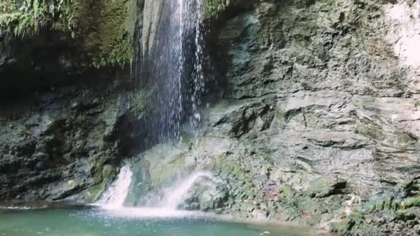 トルコのメルシンで隠された滝 自然の美しさ フォレストマウンテンセッティング 穏やかな滝シーン マジェスティックな森 山の背景 メルシンの静かな滝 — ストック動画