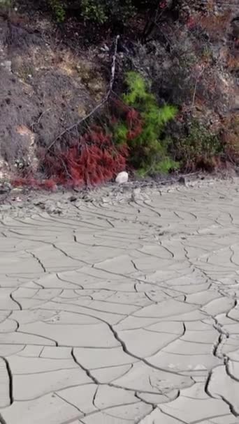 Desert Video Captures Ecology Shift Dry Cracked Earth Once Wet — Stock Video