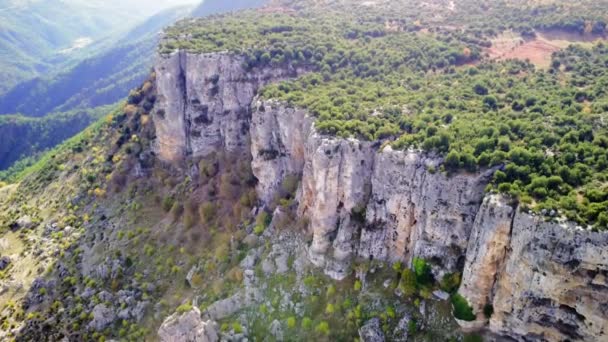 Drone Vlucht Canyon Vangt Steile Kliffen Groen Bos Panoramisch Uitzicht — Stockvideo