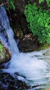 Huzurlu doğa dağları aşıklar için ideal bir yer. Huzurlu bir yürüyüş manzarası. Nazik bir akıntıyla doğa keşfi için mükemmel bir yürüyüş yeri. Sakin bir dağ deresi sergiliyor..