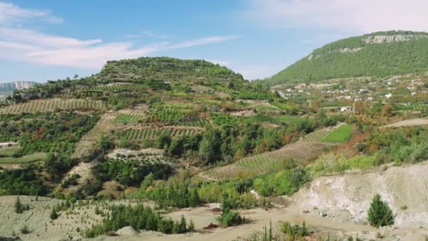 Ladang Pertanian Panorama Mengalir Menuruni Lereng Gunung Lereng Pegunungan Dihiasi — Stok Video