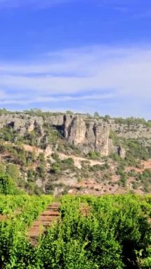 Uçsuz bucaksız tarımsal tarlalar teraslı dağ yamaçlarını süpürüyor. Teraslı tarım alanları dağların yamaçlarında gelişerek panoramik bir manzara yaratıyor. Yüksek kalite 4k görüntü