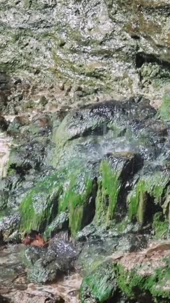 Primer Plano Vídeo Gotas Agua Cayendo Sobre Piedras Verdes Cubiertas — Vídeo de stock