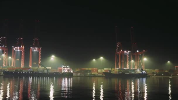 夜の港で照らされたクレーン シルエットは水に反射しました リットルコンテナクレーンアウトライン 静かな水の反射のマジェスティックナイトシーン 忙しい港 多数のクレーンが付いている夜操作 — ストック動画