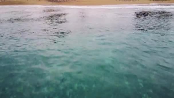 Беспилотник Летит Низко Над Водой Разбивающимся Волнам Песчаному Пляжу Захват — стоковое видео