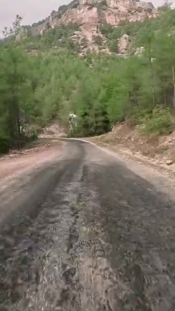 Arabayla Yolculuk Köy Yolunda Viraj Üstüne Viraj Birinci Şahıs Manzarası — Stok video