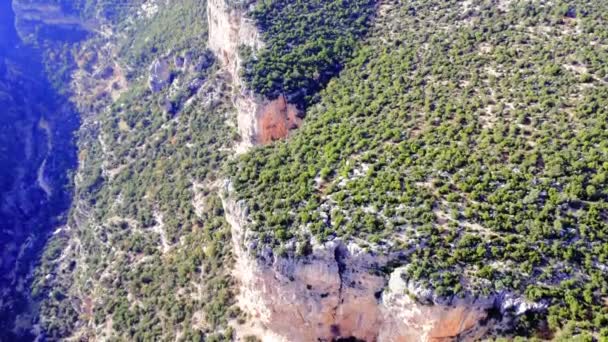 Świadek Lotu Dronem Wysoko Górach Przechwytywanie Urwiska Skały Panorama Zalesionego — Wideo stockowe