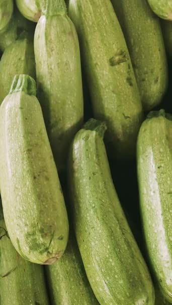 Close Zucchini Vegetable Healthy Green Market Fresh Zucchini Vegetable Healthy — Stock Video