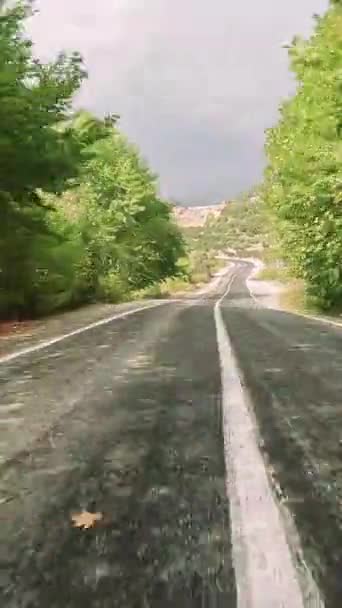 Conduisez Travers Montagne Route Forestière Paysage Mélangeant Avec Des Virages — Video
