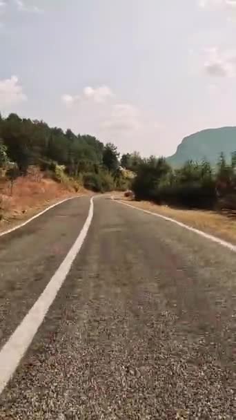 Experiencia Conduciendo Sinuosas Carreteras Montaña Bosques Vista Conducción Primera Persona — Vídeos de Stock