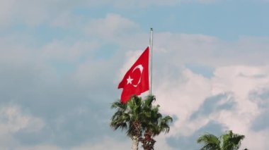 Türkiye bayrağının rüzgarda dalgalandığı video, palmiye ağacı, mavi gökyüzü arkaplanı. Türkiye bayrağının dalgalanması, ulusun sembolü. Görüntüler Türkiye bayrağını dalgalandırıyor, sakin tropikal ortam.