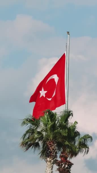 Vídeo Bandeira Turquia Acenando Brisa Palmeira Fundo Azul Céu Mostra — Vídeo de Stock