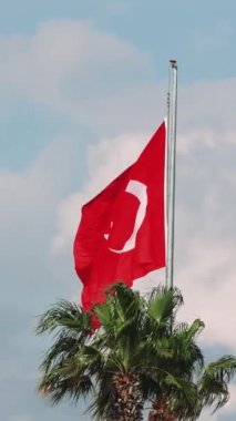 Hindi bayrağı, bir vatanseverlik sembolü, palmiye dalgalanıyor, mavi gökyüzü. Vatanseverlik sembolünü doğal ortamda yakalıyor. Görüntülerde vatanseverlik sembolü, dingin zemin vurgulanıyor. Yüksek kalite 4k görüntü