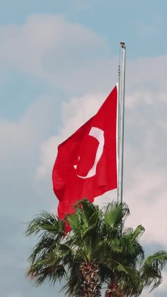 Bandera Turquía Símbolo Patriotismo Revolotea Contra Palma Cielo Azul Captura — Vídeos de Stock