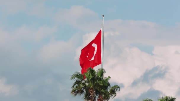 Turkije Vlag Een Patriottisme Symbool Fladdert Tegen Palm Blauwe Lucht — Stockvideo