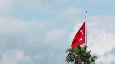 Türkiye bayrak dalgaları, özgürlüğü simgeliyor, ulus palmiyeye karşı, mavi gökyüzü. Özgürlüğün özünü yakalıyor. Huzurlu bir arkaplanı olan ulus. Özgürlük görüntüsü, ulus doğal ortamda amblem..