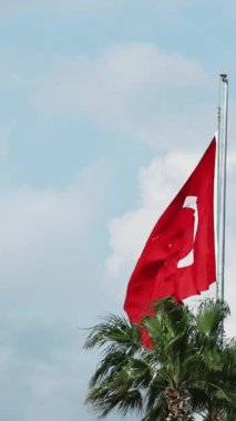 Türkiye bayrak dalgaları, özgürlüğü simgeliyor, ulus palmiyeye karşı, mavi gökyüzü. Özgürlüğün özünü yakalıyor. Huzurlu bir arkaplanı olan ulus. Özgürlük görüntüsü, ulus doğal ortamda amblem..