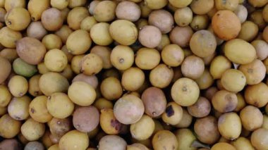 Zarar görmüş limon hasadı, ekonomik kayıpları vurguluyor. Hasar görmüş, limonlu, hasat edilmiş atık maddelerine odaklan. Zarar görmüş limon hasat altı çizgileri zarar önleme için gereklidir. Yüksek kalite 4k görüntü