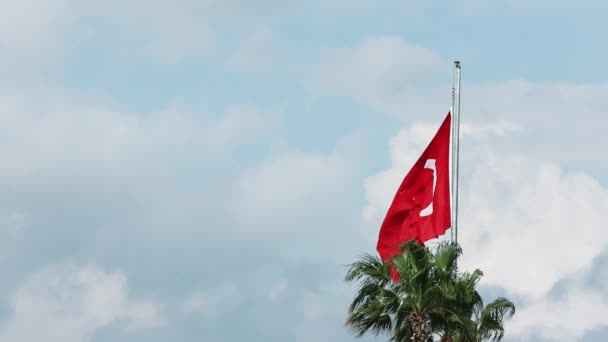 Turkije Vlag Golven Symbool Van Vrijheid Natie Tegen Palm Blauwe — Stockvideo