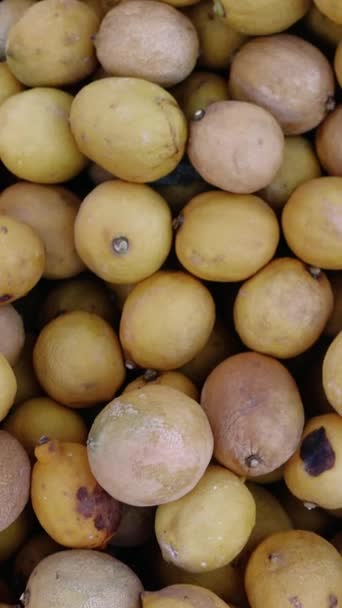 Kerusakan Panen Lemon Digambarkan Menyoroti Kerugian Ekonomi Rusak Lemon Fokus — Stok Video