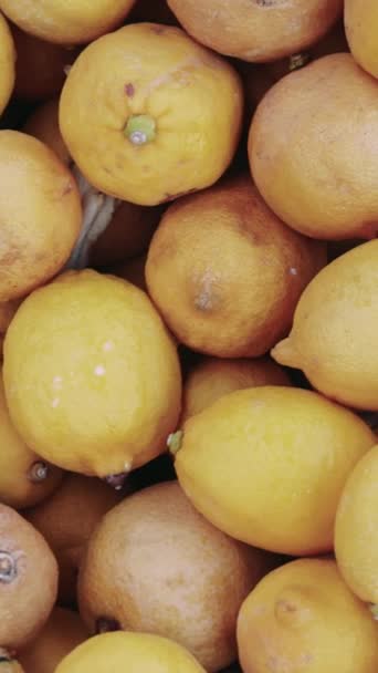 Limón Pila Basura Muestra Defectos Consumo Limón Acumulación Basura Critica — Vídeos de Stock