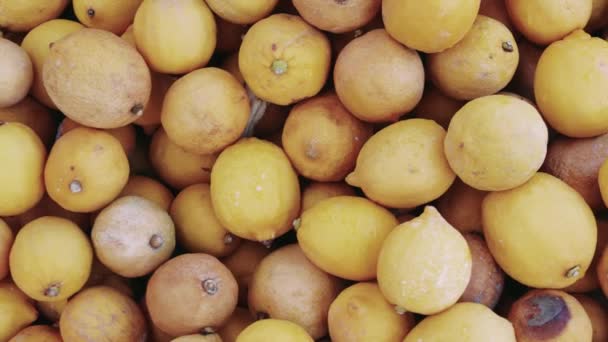 Citron Skräp Högen Visar Konsumtion Brister Citron Skräp Ackumulering Kritik — Stockvideo