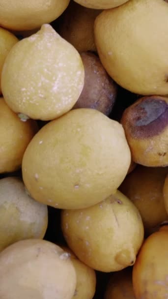 Nezdravá Hromada Citronů Signalizuje Riziko Pro Bezpečnost Potravin Nezdravé Citron — Stock video