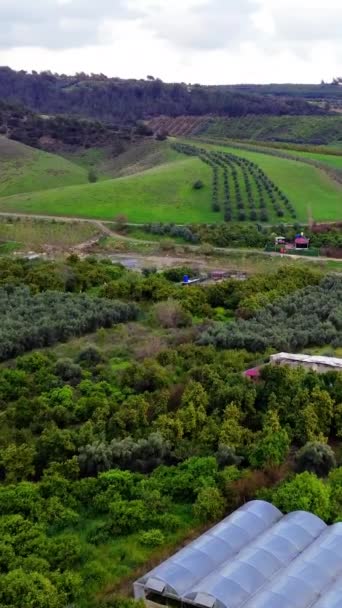 Pemandangan Drone Dari Ladang Lembah Pegunungan Kebun Buah Menampilkan Pertanian — Stok Video