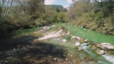 Dağın eteğinde ördek, ördek, nehir, doğal yaşam alanında ördek, ördek, nehir sükuneti. Huzurlu vahşi yaşam sahnesini yakalar. Yüksek kalite 4k görüntü