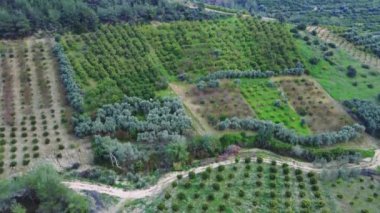 Türkiye 'deki tarlaların, meyve bahçelerinin insansız hava aracı videosu. Tarımı gösteriyor, tarımın önemini vurguluyor, yerel gıda güvenliği için tarım yapıyor. Toplumun sürdürülebilirliğini destekler. Yüksek kalite 4k görüntü