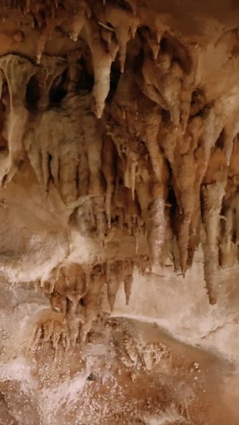 地下洞窟 活気に満ちたストーカー 地下地質学の焦点を探索してください ユニークな景色 ストーリーミット 古代の石灰岩 地下の地質学が展示されています 魅惑的な景色 ストーカー 岩のテクスチャ — ストック動画