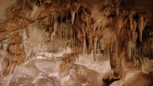探索地下洞穴 生机勃勃的石笋 地下地质焦点 独特的风景 古老的石灰石 地下地质展示 迷人的景色 岩石质感 — 图库视频影像