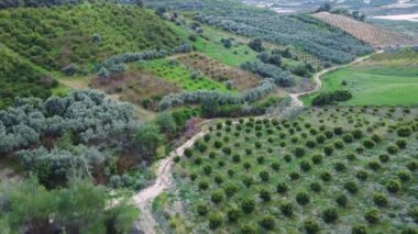 Hindi Vadisi 'nin insansız hava aracı görüntüsü, organik çiftlikler, organik tarım uygulamaları, organik tarım manzaraları. Tarım ve kırsal deneyime hitap ediyor. Yüksek kalite 4k görüntü