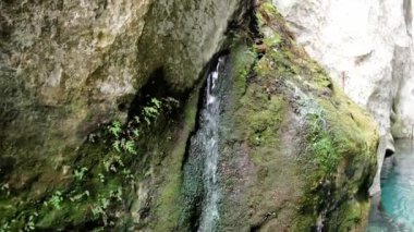 Kristal berrak düşen su yosunlu kayaların üzerinden akar. Düşen suyla küçük bir dere, sakin ve el değmemiş. Doğaya düşen sular, sükunet ve saflık sergiliyor. Yüksek kalite 4k görüntü