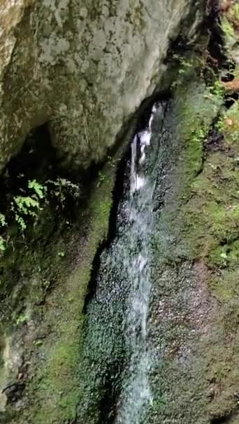 Kristallklares Fallendes Wasser Fließt Über Bemooste Felsen Kleiner Bach Mit — Stockvideo