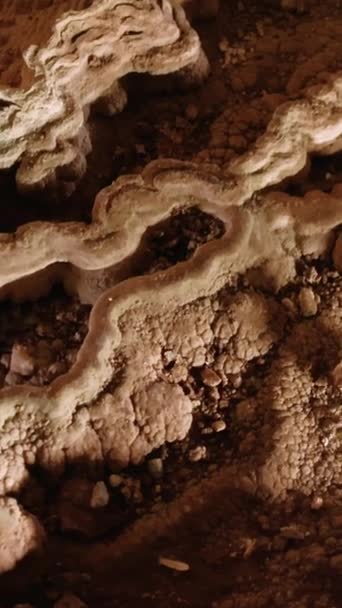 Ανακαλύψτε Υπόγειες Σπηλιές Ζωντανούς Σταλαγμίτες Σχηματισμός Ασβεστόλιθος Μοναδικό Τοπίο Απεικόνιση — Αρχείο Βίντεο