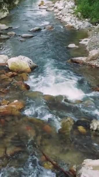 Вид Беспилотника Красивый Горный Ручей Лесу Чистой Водой Кадры Прекрасной — стоковое видео