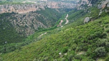 Kanyon, orman ve dolambaçlı dağ yolunun panoramik drone görüntüsü. Hava görüntülerinde yemyeşil kanyon, orman ve manzaralı yol görülüyor. Kanyonu, orman arazisini ve yukarıdaki yolu keşfedin.. 