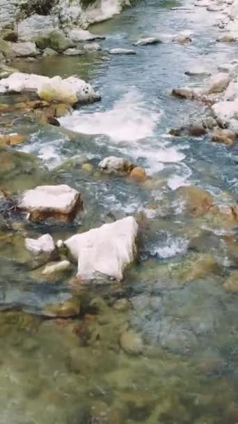 Drone Widok Górską Rzekę Bujnym Lesie Krystalicznie Czysta Woda Płynie — Wideo stockowe