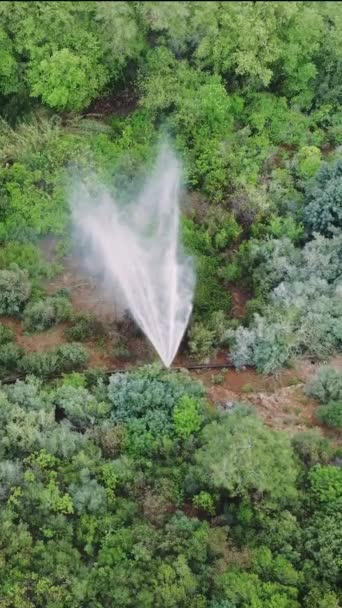 Drone View Συλλαμβάνει Σωλήνα Ψεκάζοντας Νερό Στο Πράσινο Φαράγγι Του — Αρχείο Βίντεο