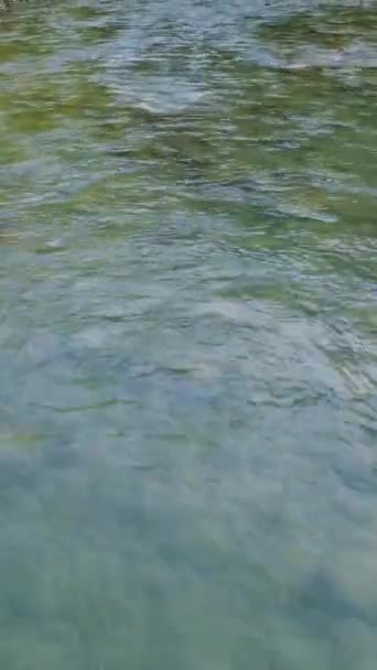 Drone Video Van Bergstroom Lage Hoek Uitzicht Markeert Helder Water — Stockvideo